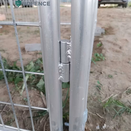 Newest Professional Indoor and Outdoor Walk-in Iron Fence Dog Kennel